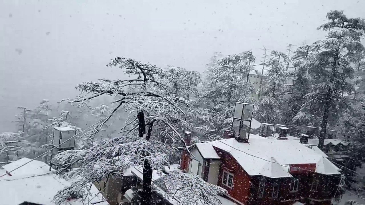 snowfall in shimla