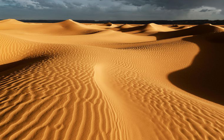 Punjab Desert