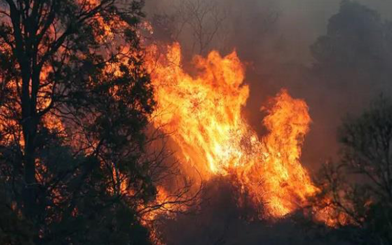bushfires in australia