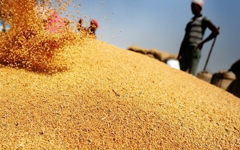 modi-govt-increase-msp-for-rabi-crops