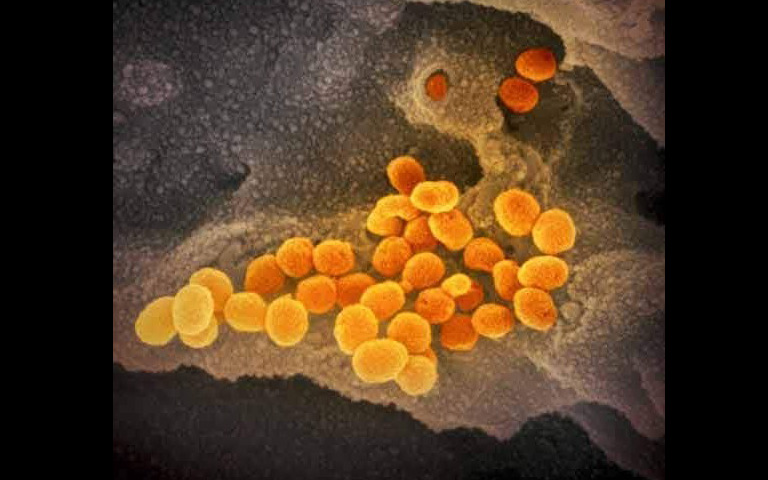 coronavirus-infected-patient-could-infect-59000-others
