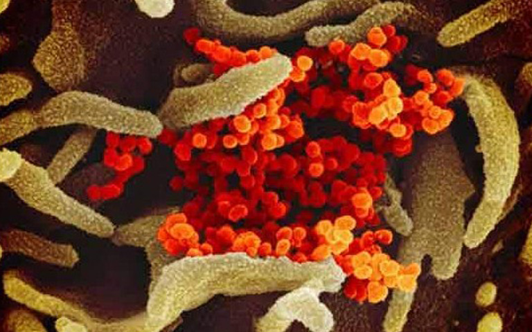 coronavirus-infected-patient-could-infect-59000-others