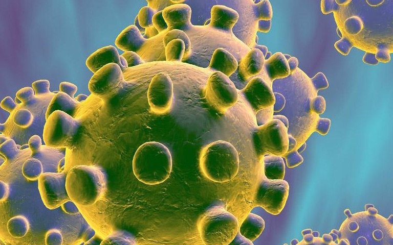 corona-virus-outbreak-situation-in-punjab