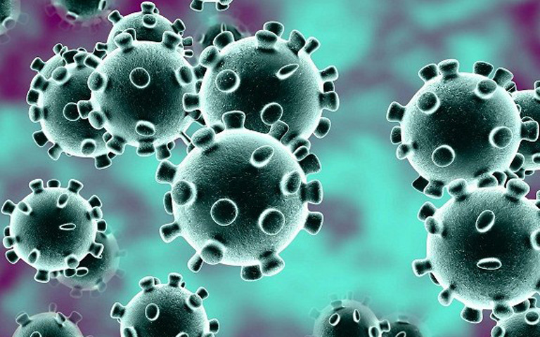coronavirus-outbreaking-in-jalandhar