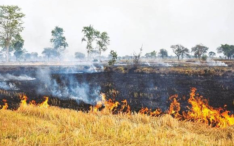 farmers-of-the-state-incurred-a-debt-of-20-lakh-for-burning-straw