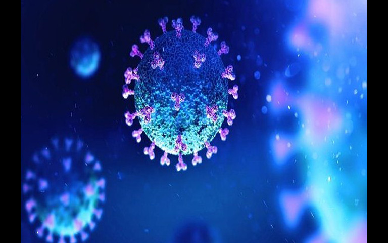 corona-virus-16-new-cases-in-south-korea