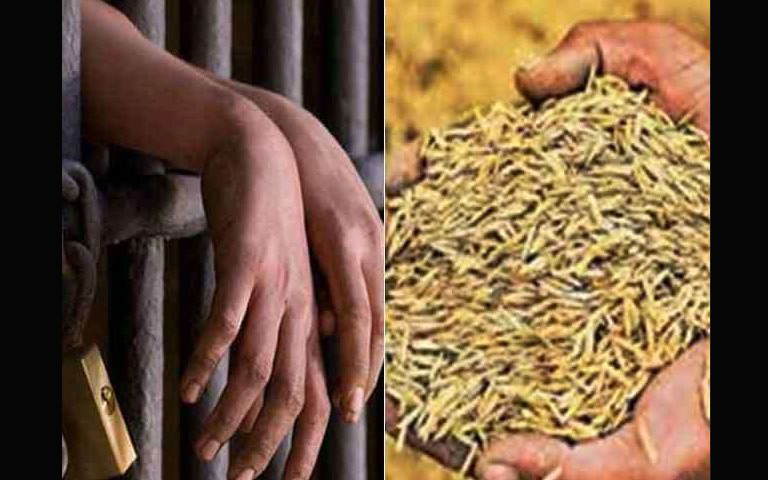 another-arrest-in-punjab-paddy-seed-scam