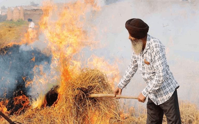 govt-appointed-nodal-officers-to-control-stubble-burning-in-punjab