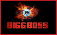 Big Boss 14 contestants list