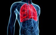 5 Things that clean up your Lungs easily