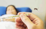 Outbreak of dengue along with corona in Punjab