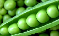Amazing-Health-Benefits-of-Green-Peas