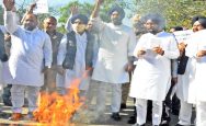 Punjab-Government-effigy-(-----)-was-burnt-outside-the-Punjab-Assembly-by-shriomani-akali-dal