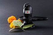 Don't forget to offer these 7 things on Shivling