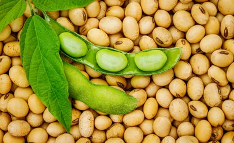 4-Health-Benefits-of-Soybean