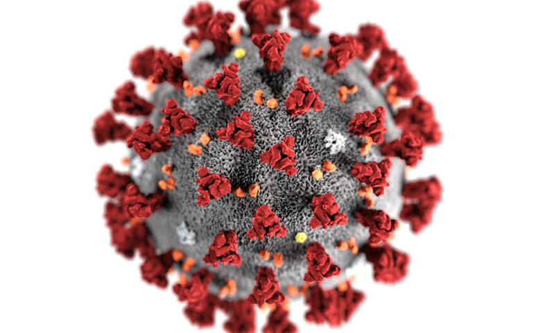 Daily new cases of coronavirus in Punjab below 3,000-mark