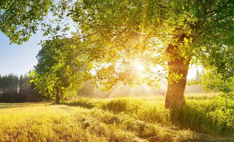 7-Health-Benefits-of-Sunlight