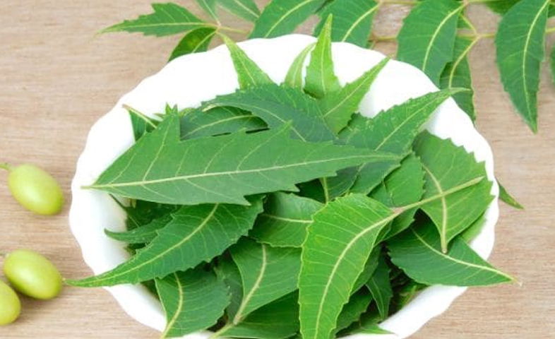 What-are-the-benefits-of-neem